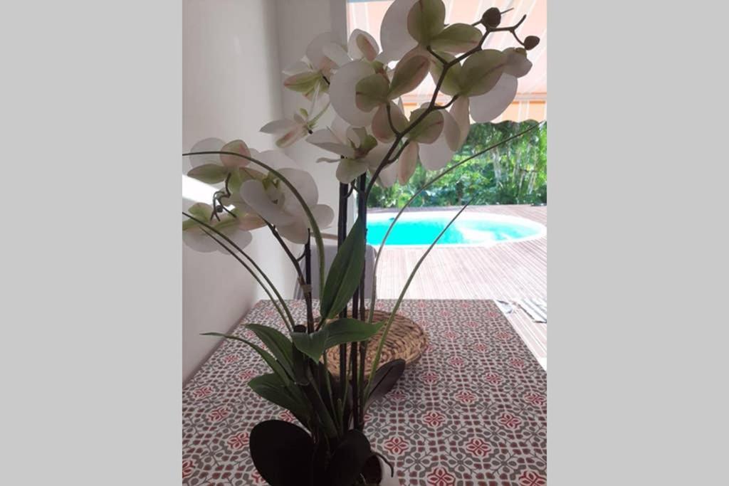 Les Orchidees Appartement Petit-Bourg Buitenkant foto